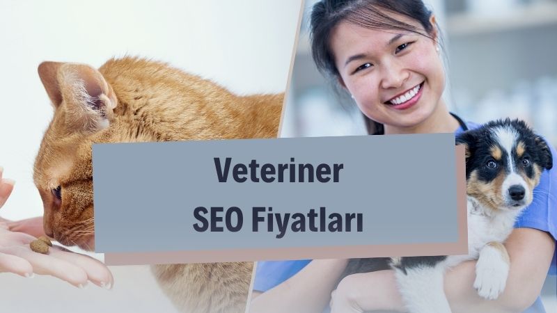 Veteriner SEO Fiyatları